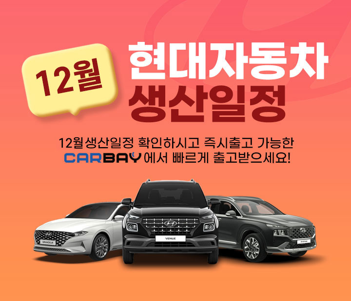 현대 12월 생산일정